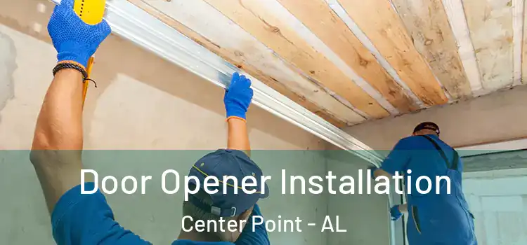 Door Opener Installation Center Point - AL
