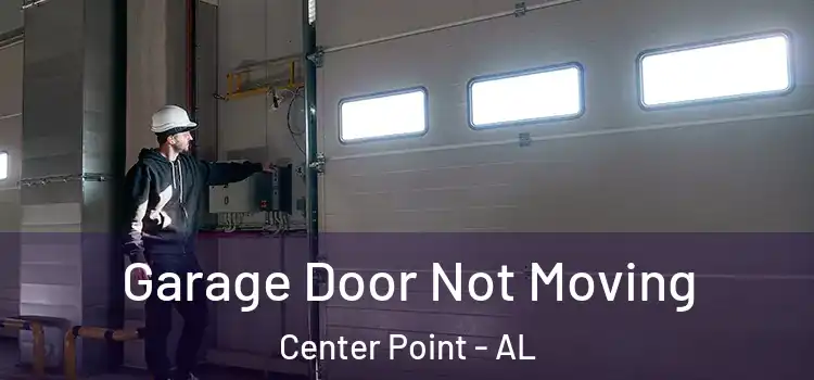  Garage Door Not Moving Center Point - AL