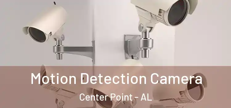 Motion Detection Camera Center Point - AL
